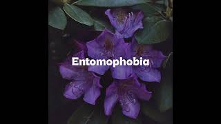 My phobias and there meaning •