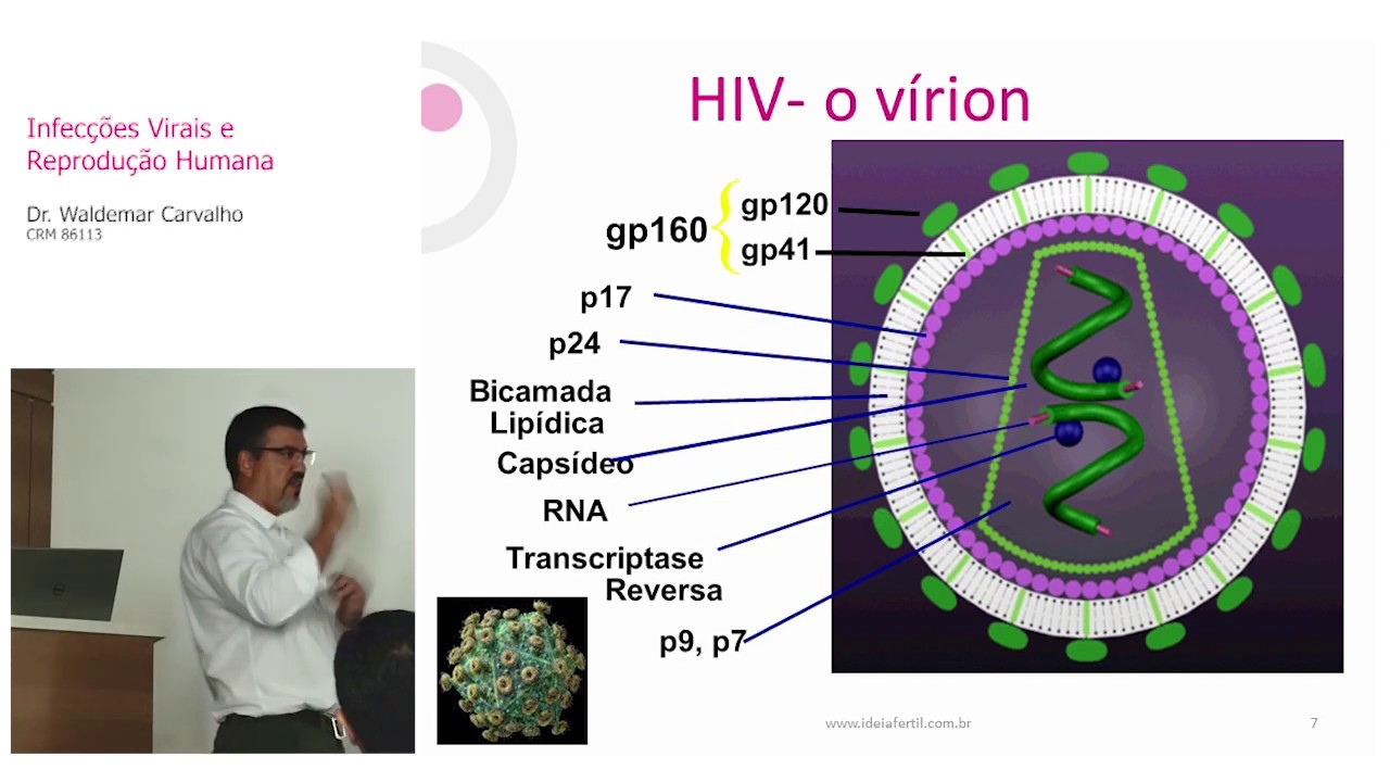 Infecções Virais Crônicas e Reprodução Humana