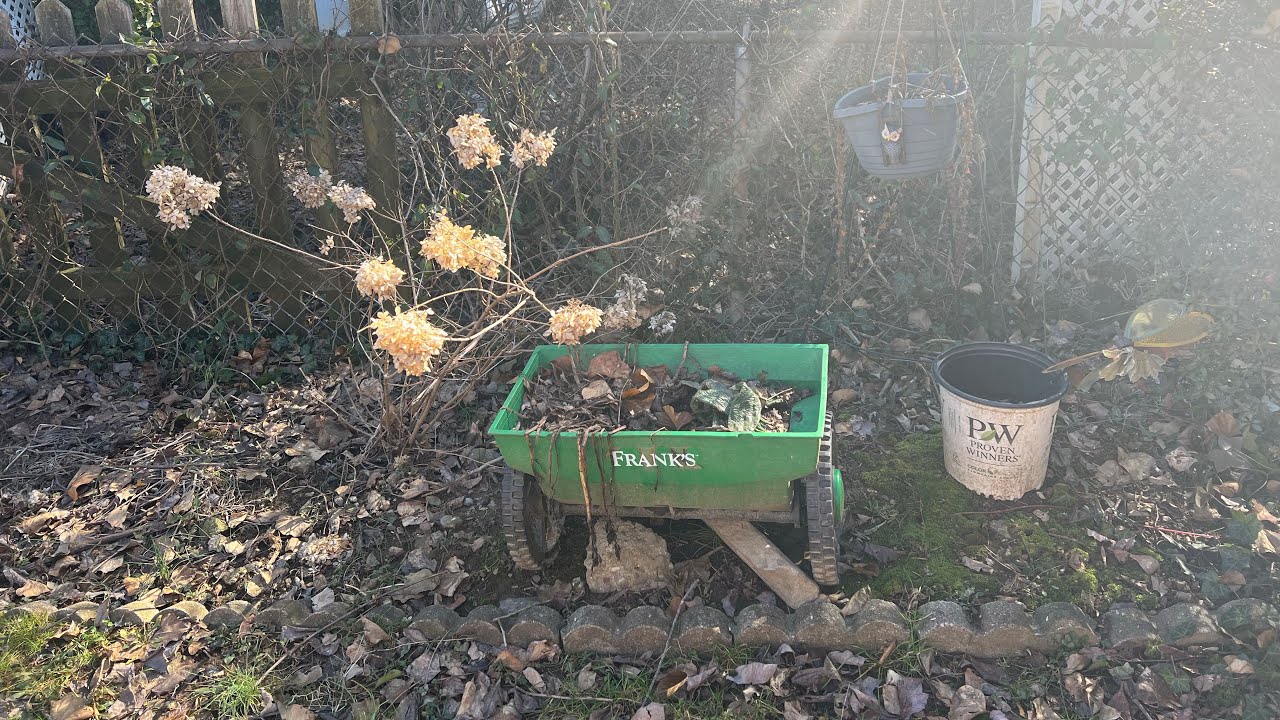 Garden Surprise Wake up