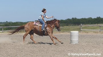 Expressrumorbug - running the barrels #2 - ValleyViewRanch.net