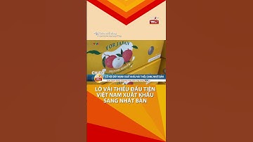 LÔ VẢI THIỀU ĐẦU TIÊN VIỆT NAM XUẤT KHẨU SANG NHẬT BẢN. #luotvtvgo #tintuc #news#vaithieu #vảithiều
