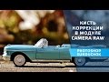 Корректирующая кисть в модуле Camera raw | Как работать с корректирующей кистью