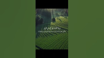 سوره اسراء آيات ٨١ تا ٨٤
