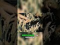 Revolución Verde: Transformando la Agricultura Global