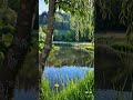 #nature #ambientmusic #relaxing #ambient #relax