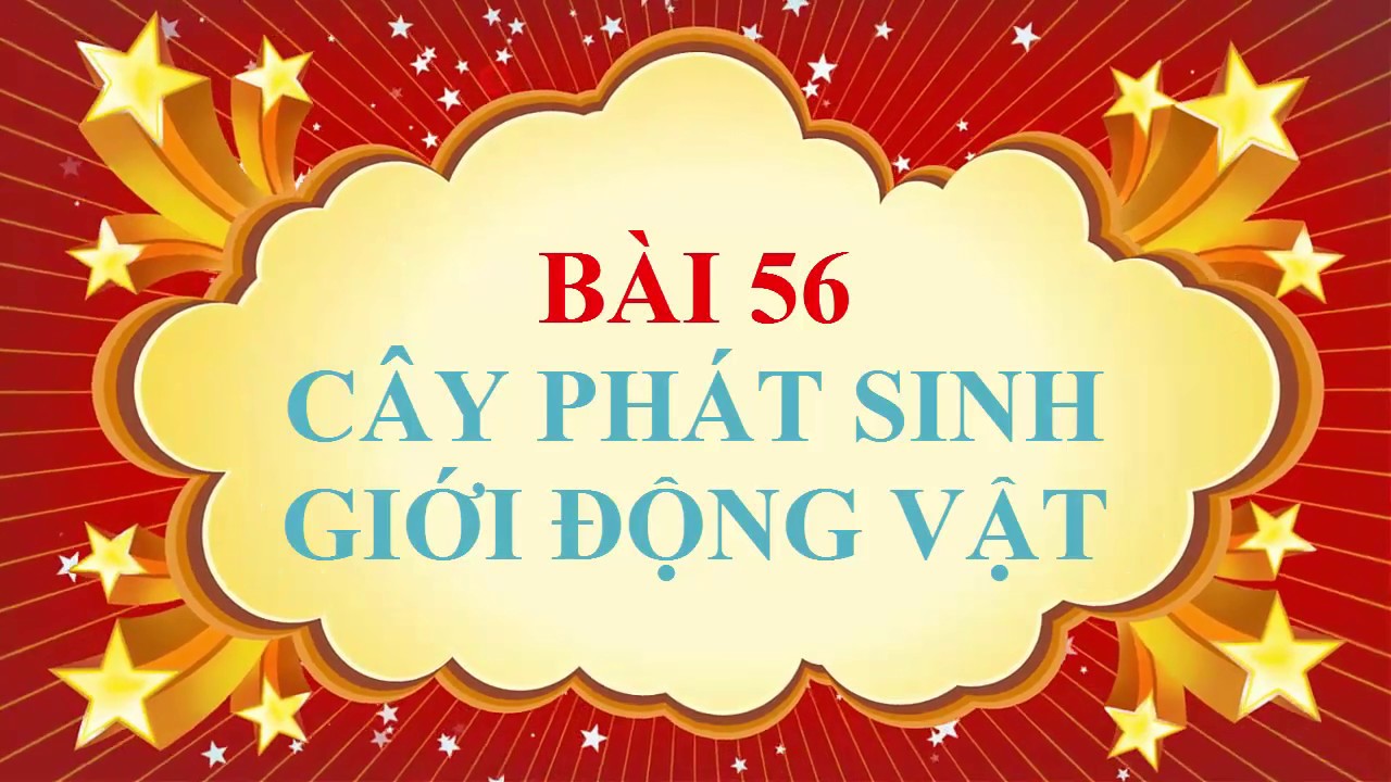 Sinh học 7 bài 56 | Sinh học lớp 7 – Bài 56 – Cây phát sinh giới động vật