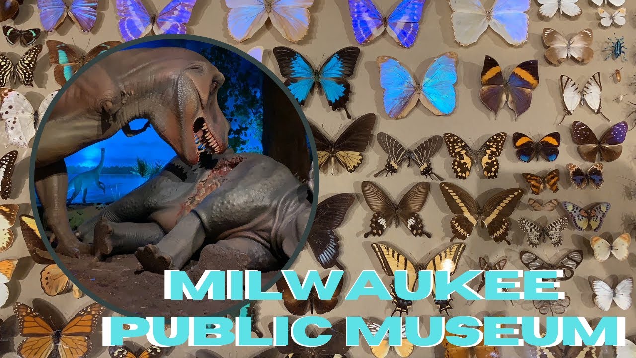 Milwaukee Public Museum - YouTube