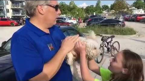 Cane lasciato in auto sotto al sole: ecco la reazione dei passanti...