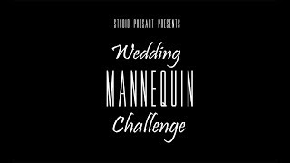 Mannequin Challenge (Wedding Reception) by Phosart .