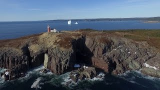The Famous Ferryland, NL Iceberg!