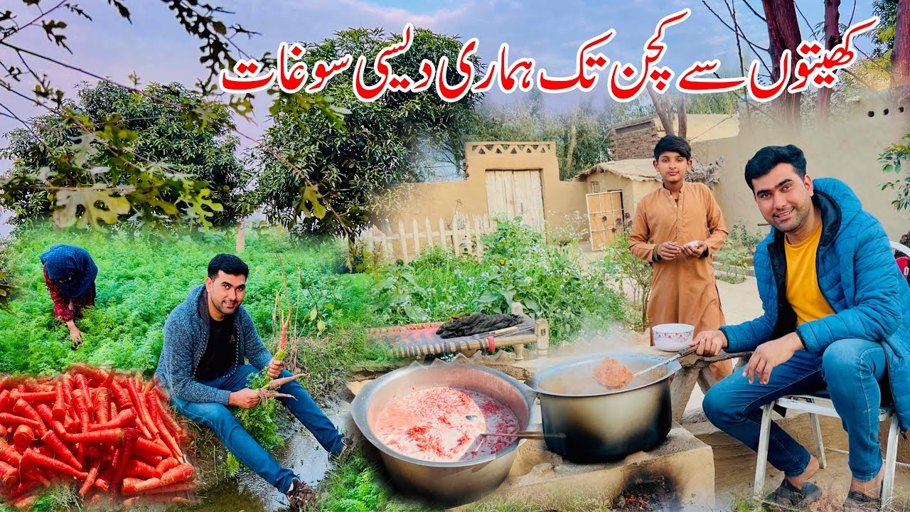 Harvesting Say lay kr Kitchen tak Hmari Desi soghaat | Village life 