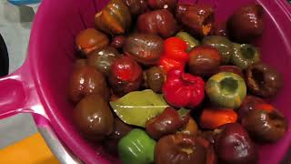 Мини перчик - фаршированные сыром 