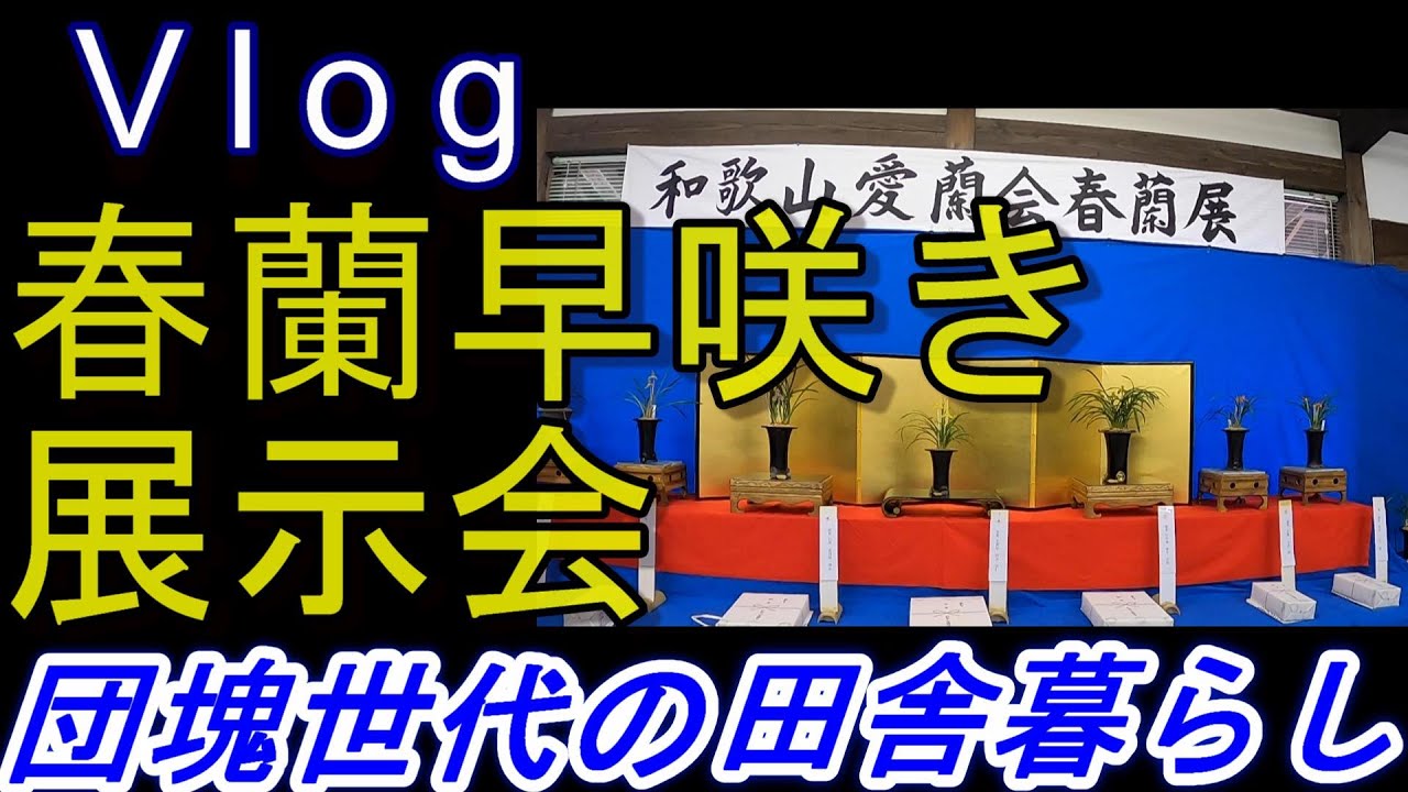 ＃024　03-07　春蘭早咲き展示会の模様をお届けします。