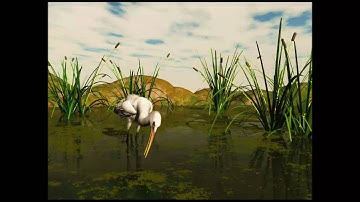 vue 8 inf poser 8  animation import