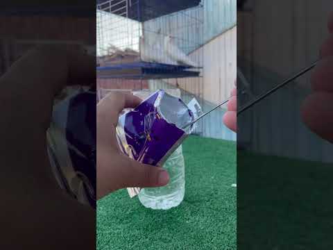 علاج الديدان عند الحمام