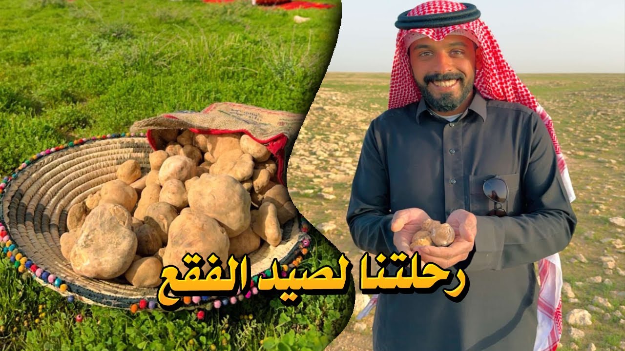 اليوم الثاني لرحلتا لصيد الفقع