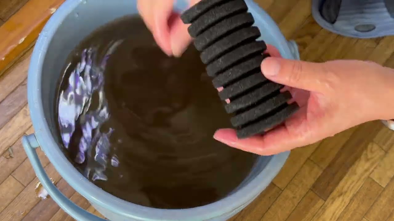 【店長の水槽メンテナンス】