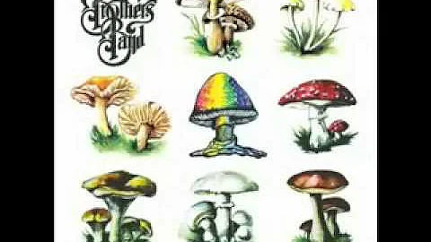 Allman Brothers Band - Back Where It All Begins