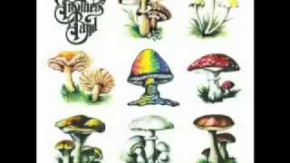 Video thumbnail of "Allman Brothers Band - Back Where It All Begins"