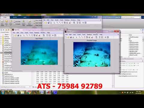 Depth Map Reconstruction, Underwater Images, Inpainting, Local Image Mode Filtering, Sonar, WEM