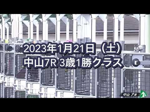 2023年1月21日（土）中山7R 3歳1勝クラスレース映像【オメガシンフォニー】