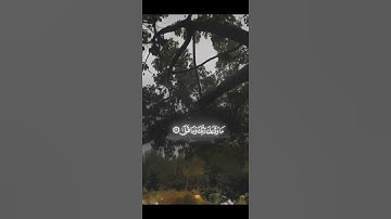 والضحى _#قران كريم#ارح سمعك#حالات واتس#اكسبلور #منوعات