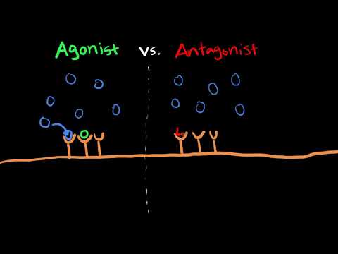 Video: Bent u agonistische betekenis?