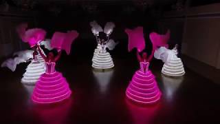 Light Of Dance Led Fächerled Kostümeled Fan Veilsevent Künstlerled Dance Show