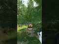 Chainsaw vs trees in Farming Simulator #fs25 #logging #shorts