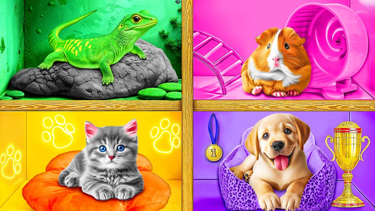 Строим Домики для Животных | Война Пранков от Crazy DO