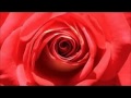 Happy aroma Happy music ゲスト:ザ・ニュースペーパー