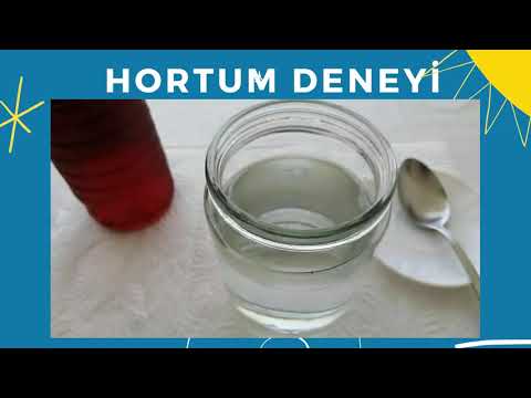 Hortum Deneyi