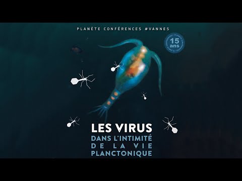 Vidéo: Lesquelles des formes suivantes sont des formes planctoniques ?