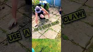 Gardening Tip. Use a garden claw to scrape moss and debris from your patio #garden #shorts