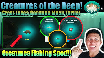 Common Musk Turtle Creatures of the Deep Location❗ Creatures Fishing Spot in Great Lakes❗