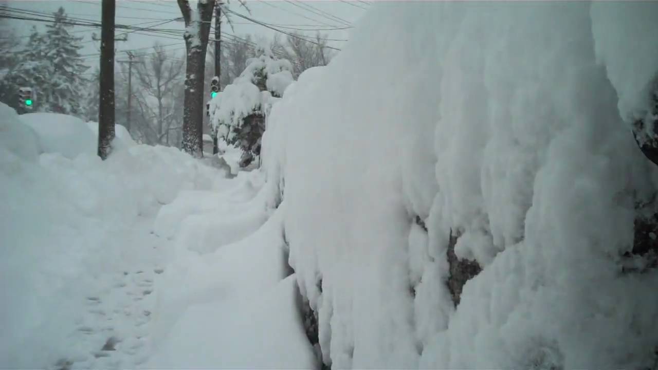 6 Feb 2010 - aftn #2.MP4