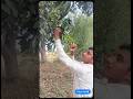 day 3 #amityadavminivlog #trindingshorts #vloge #vlog