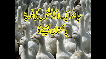 Chinas duck Army to fight Pakistan locusts