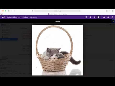 Code in Place 2021 Final Project Cat in the Box
