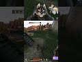 Dog defying gravity | #thewolfandthefox on #Twitch