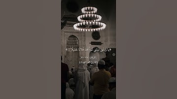 ( وَيَوْمَ يَعَضُّ الظَّالِمُ عَلَىٰ يَدَيْهِ )سورة الفرقان (27 - 30) اجمل تلاوة للشيخ محمد اللحيدان