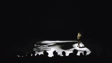 KA-F-KA (Body fragments) by Mehdi Farajpour