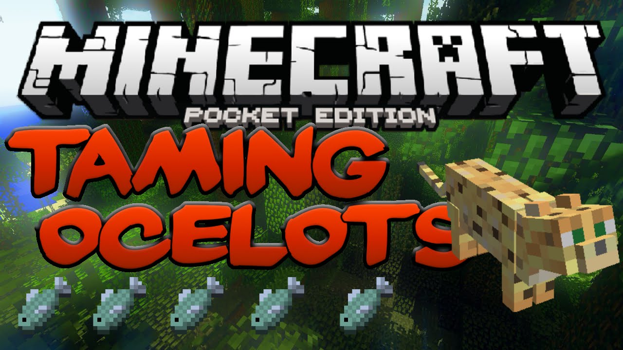 HOW TO TAME OCELOTS IN Minecraft PE - MCPE Taming Cats (Pocket Edition