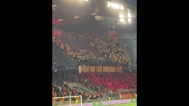 Young Boys Bern - Galatasaray 21.08.2024 #ultras #hooligansworld #ultrasworld #football
