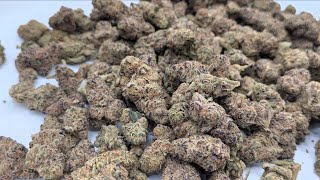 CannaCured | 3 Oz Grape Gas |Prestige-Kategorie|🍇⛽️🔥THCa-Review! @CuredTV