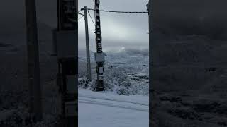 Nevada En Lardeira I