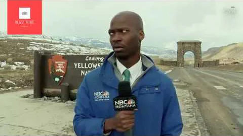 Reporter’s reaction to approaching bison goes viral