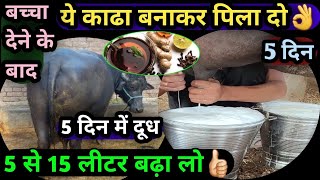 बच्चा देने के बाद गाय भैंस को ये काढ़ा बनाकर पिला दो 5 दिन👌5 दिन में दूध 5 से 15 लीटर बढ़ा लो👍