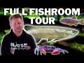 Breeding 1000s of rare fish in my garage  blakes aquatics full fishroom tour  50 tanks
