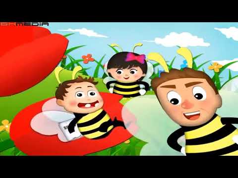 Tuần 6 - Môn Hoạt động trải nghiệm - Bài Mỗi ngày ở trường của em